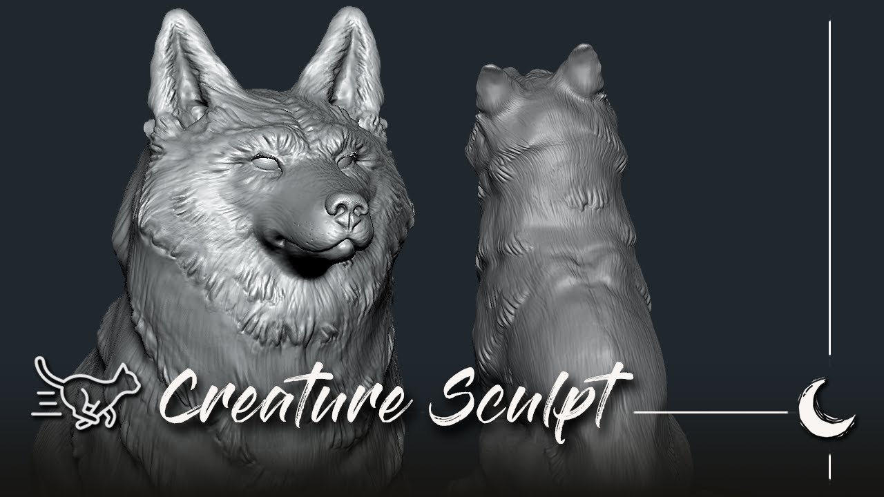 Zbrush Timelapse ☆ Fur (3rd try) // 