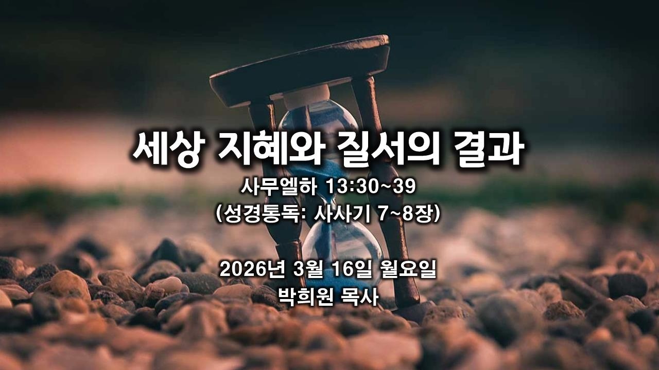 삼하37. 세상 지혜와 질서의 결과 / 사무엘하 13:30~39 / 2026 03 16 날마다 솟는 샘물 성경묵상