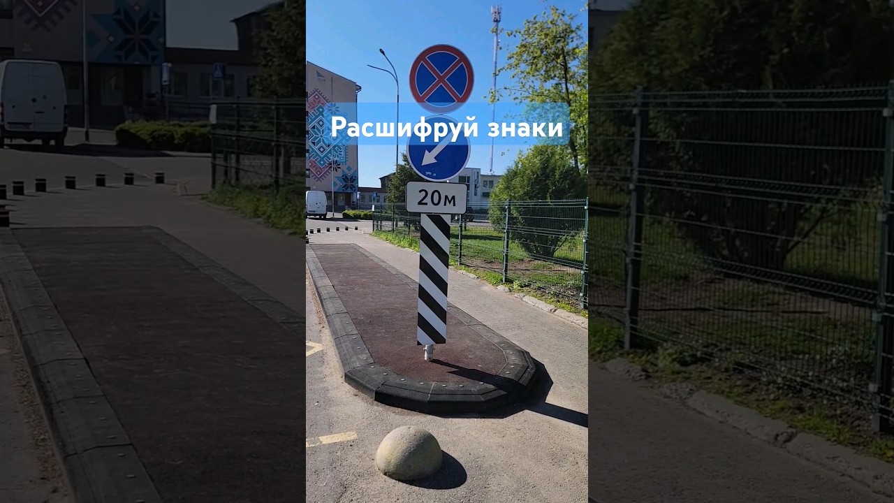 Оригинальное сочетание дорожных знаков и разметки #пдд #знаки #разметка
