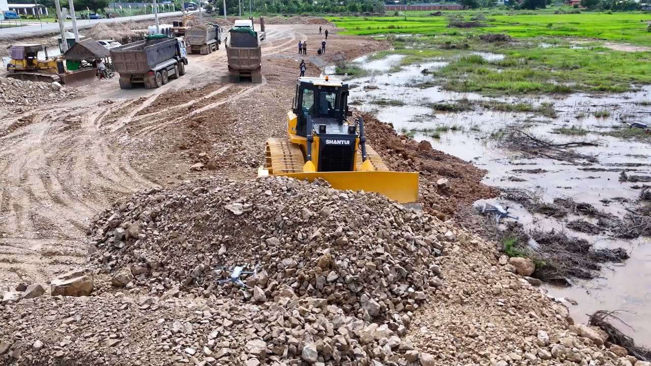 Great News! Operation Starts 12-Wheel Dump Trucks & SHANTUI C3 Dozer Skillfully Filling Flooded Land