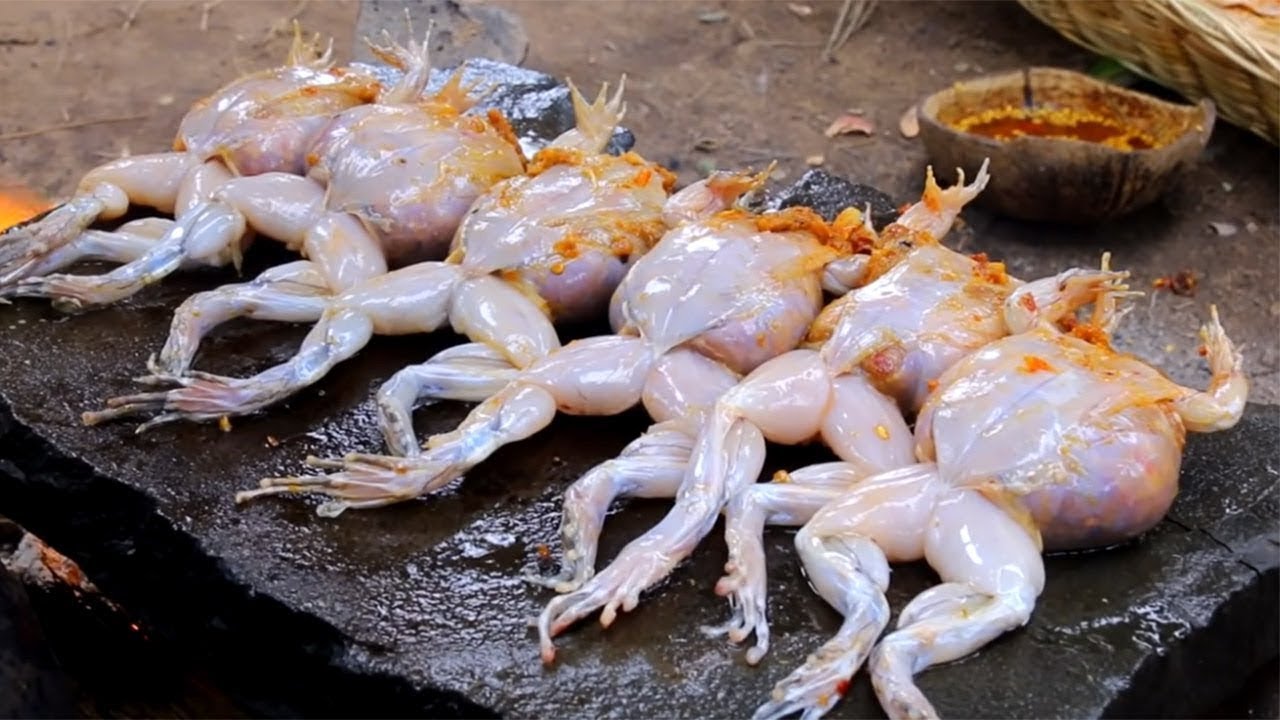 Catch n Cook Frog bbq Recipe - Cooking Frog on hot Stone for delicious food in forest