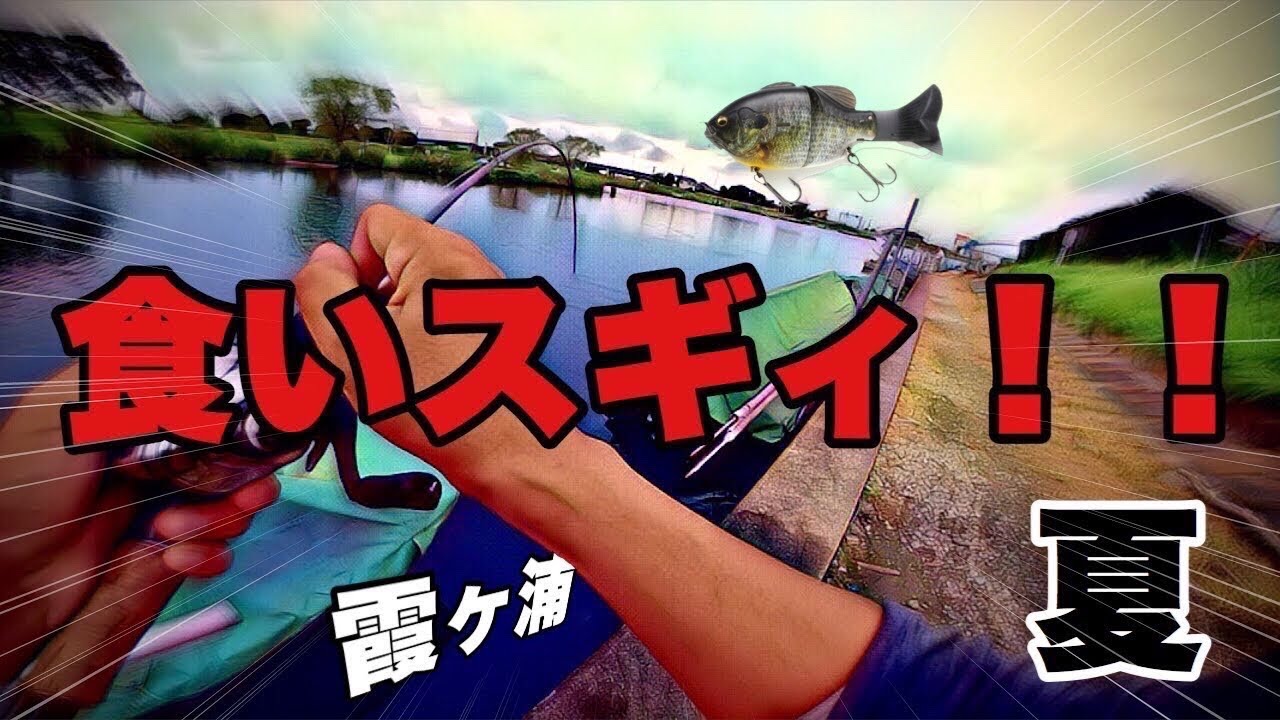 横利根川でバス釣り　霞水系　ハイプレッシャーでも関係なし！