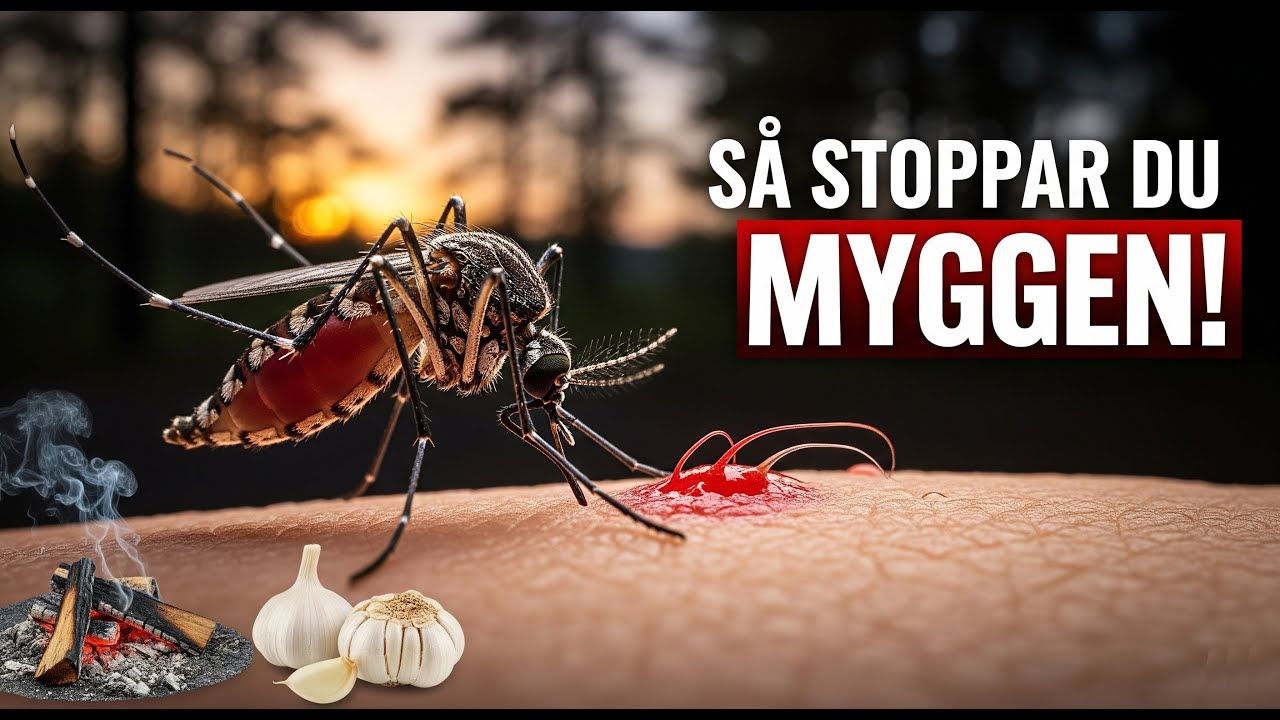 Mygg: Fakta, Bekämpning och Naturliga Lösningar mot Myggbett | Mosquito Magnet Pioneer