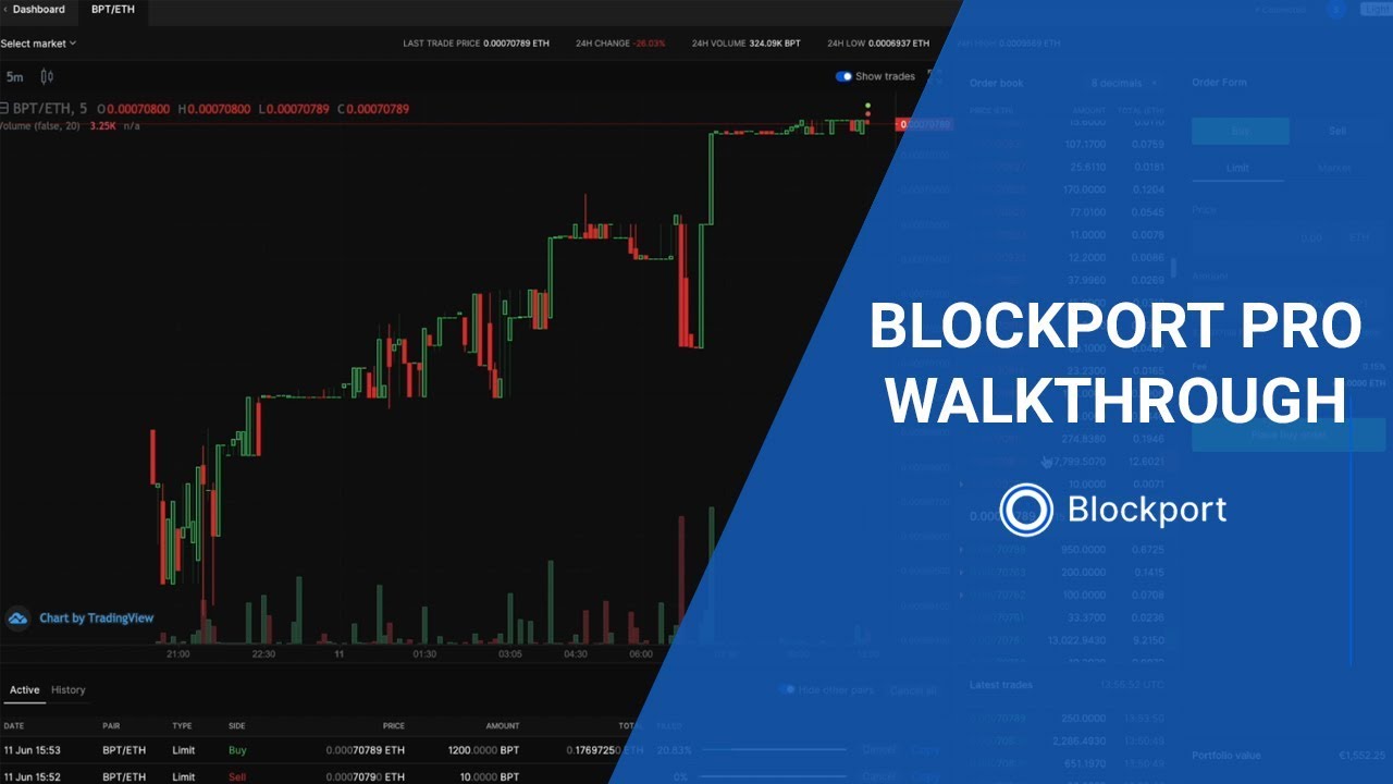 Blockport Pro Walkthrough
