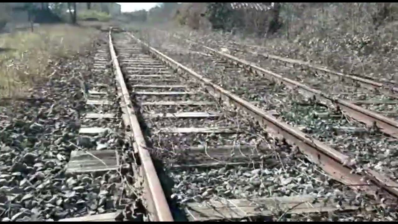 Sono andato nei ponti della ferrovia Orte-Civitavecchia