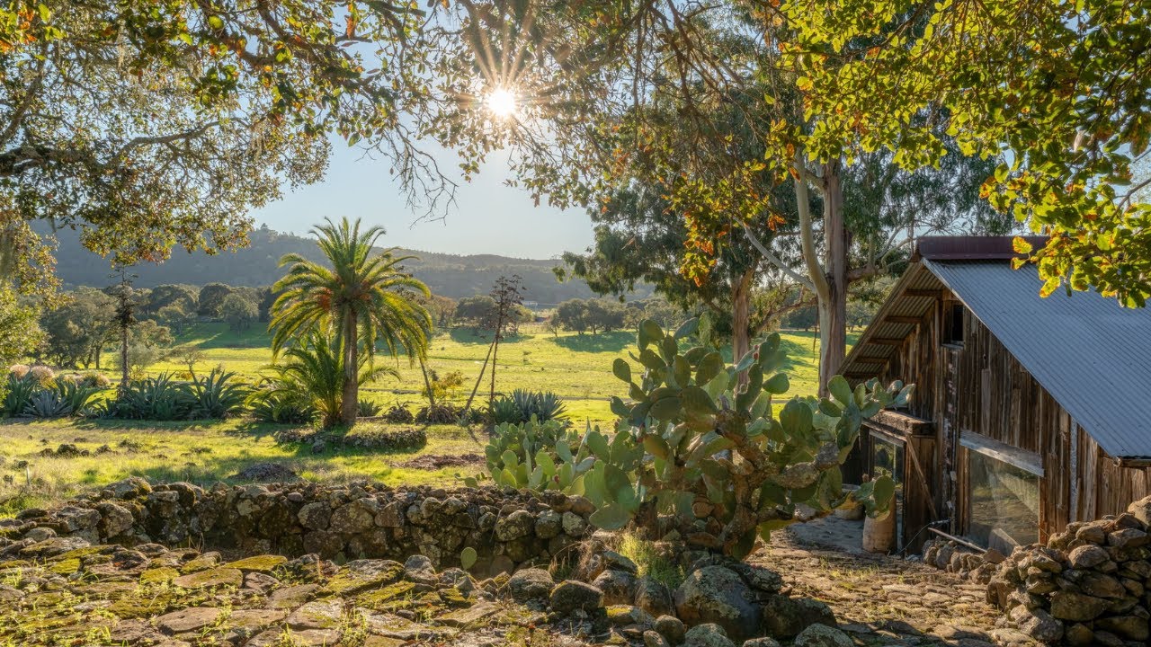 Ginger Martin + Co Presents | 5100 Lovall Valley Loop, Napa Valley