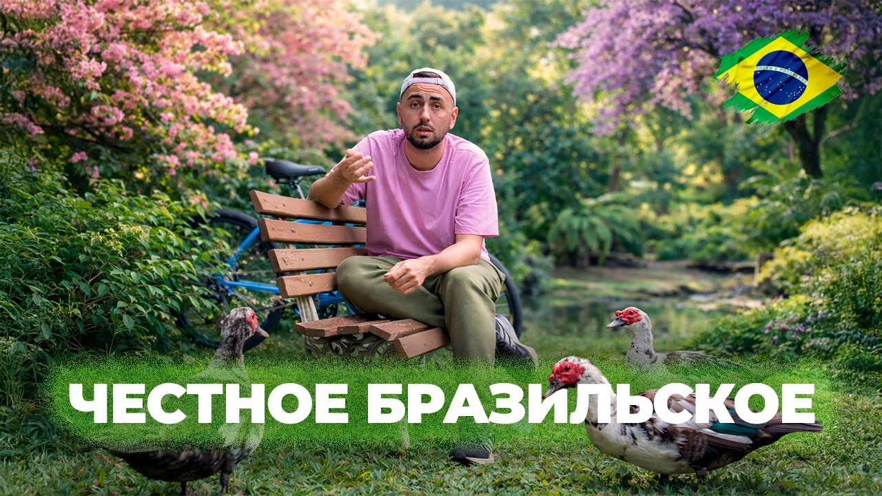 Как живётся на Юге Бразилии? | Ответы на вопросы