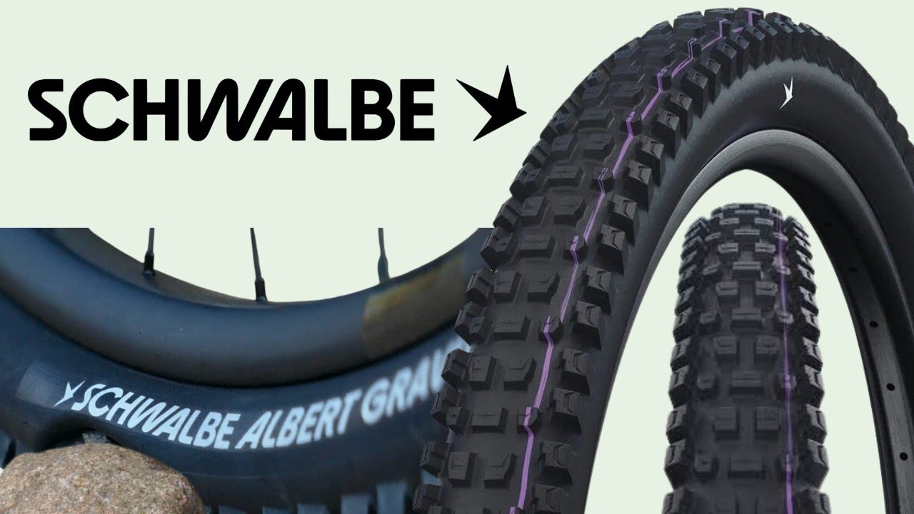 Schwalbe Albert Radial First Look