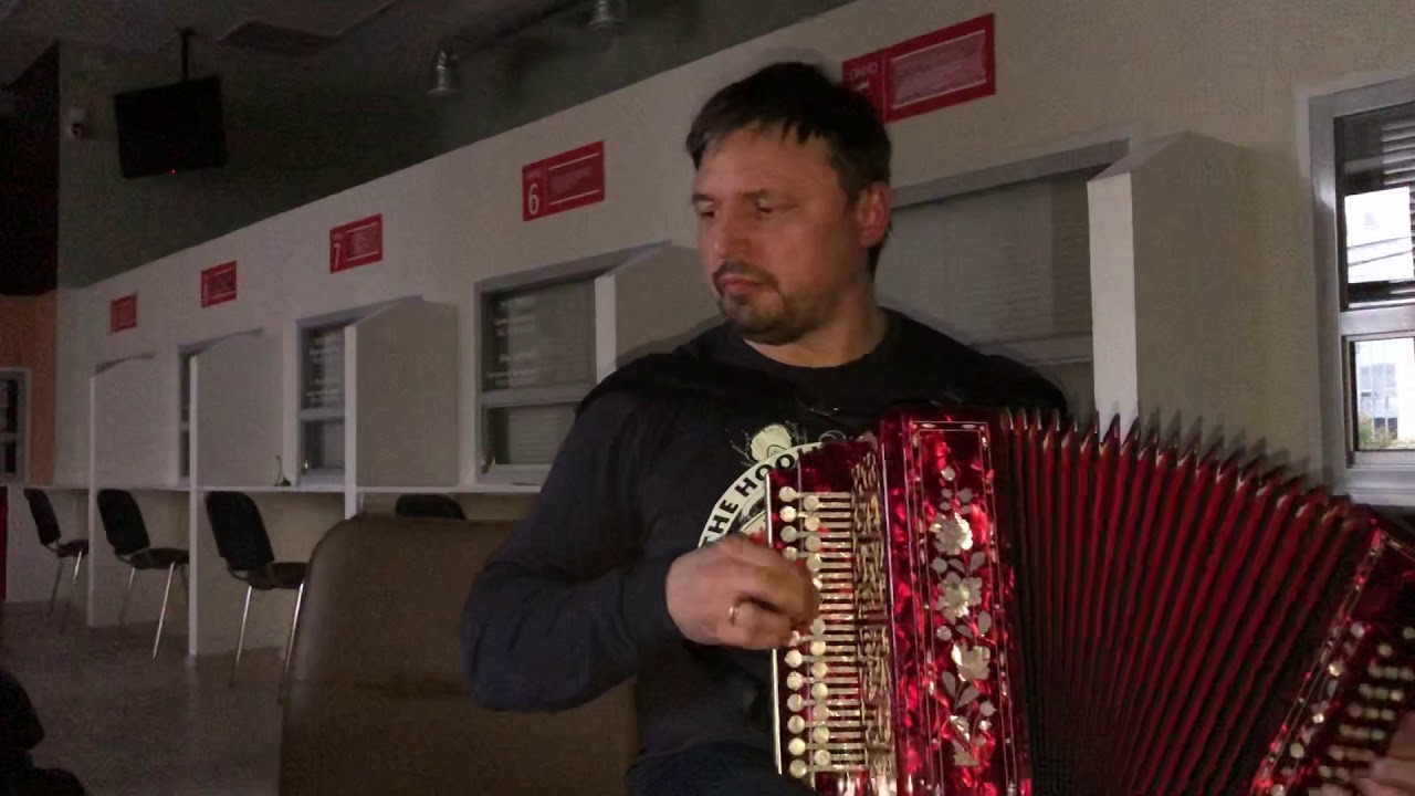 НАНЭ ЦОХА на гармони