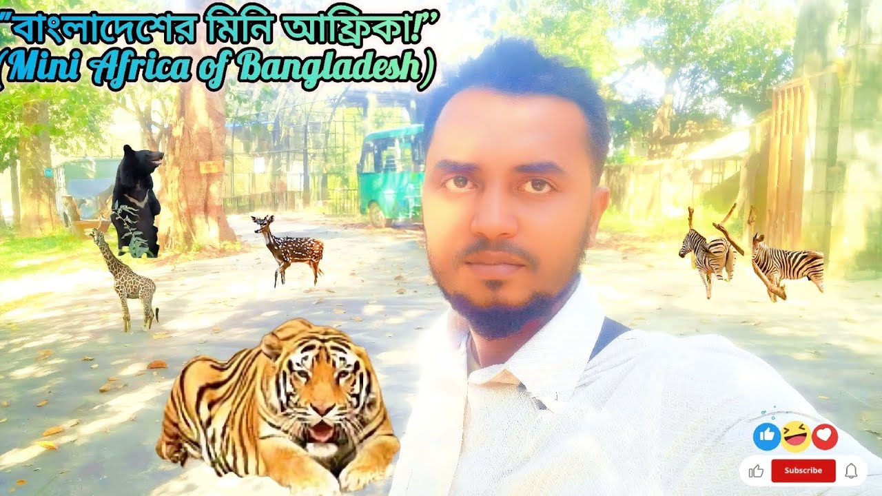 Dulahazra Safari Park – রহস্যে ভরা বন্যজগত!