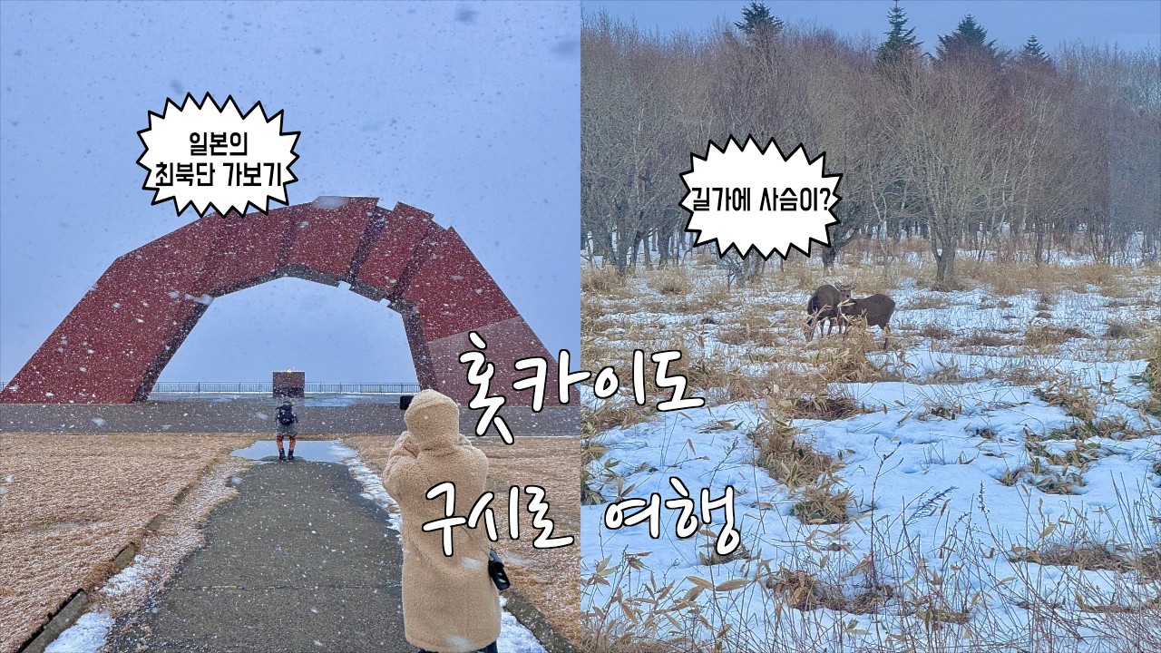 [쿠시로] 관광객 0명… 여긴 진짜 일본이었습니다