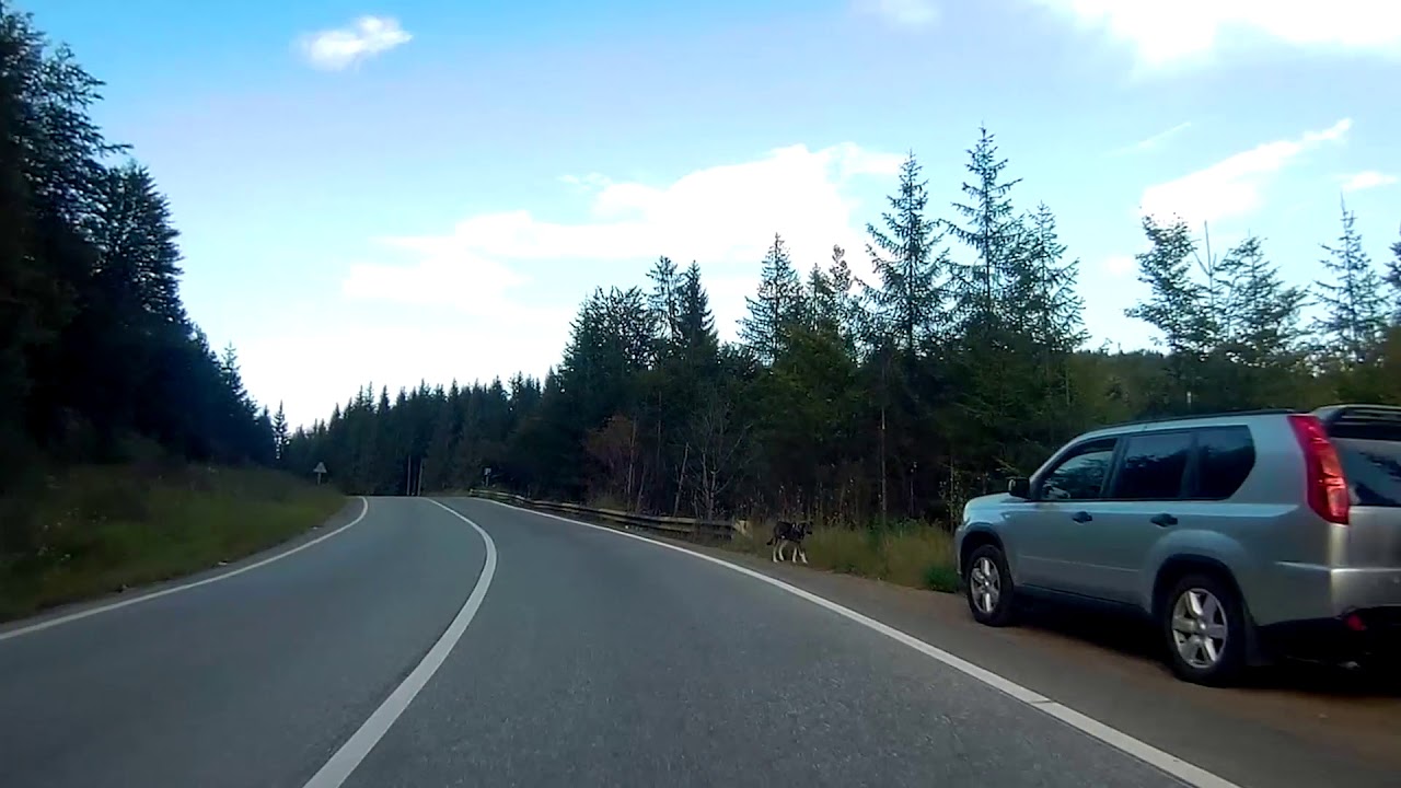 Poiana Largului  -  Târgu Neamț