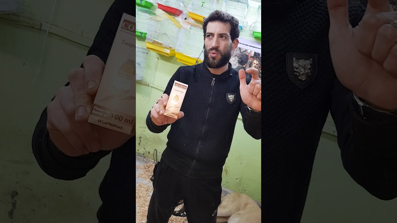 علاج مرض الباربو عند الكلاب  الهاتف         0610395072