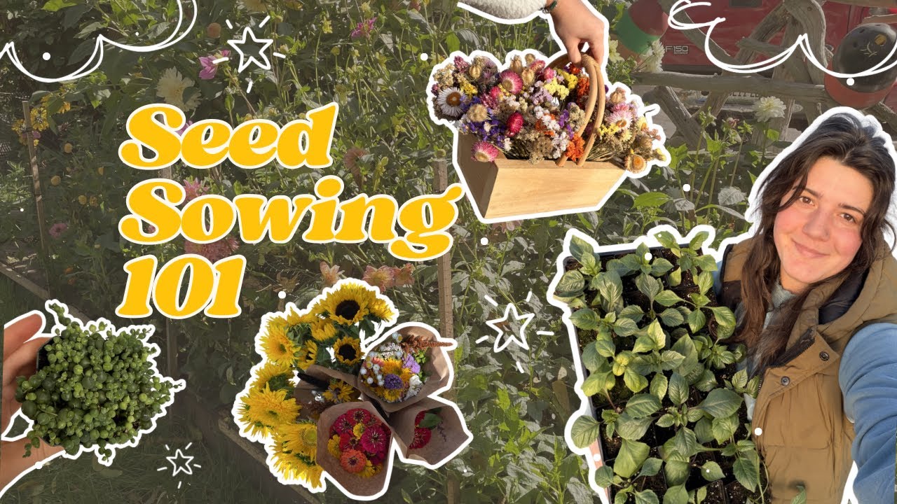 Seed Sowing 101