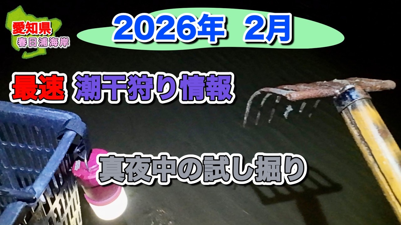 今年の潮干狩り、アサリ、ハマグリは採れるのかい？
