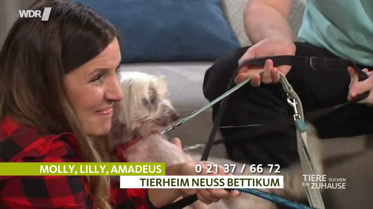 Tierheim Bettikum im WDR bei Tiere suchen ein Zuhause