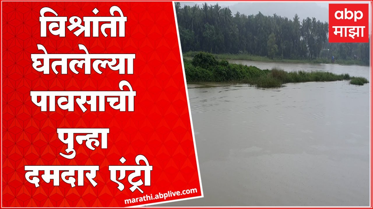 Chiplun Rain : विश्रांती घेतलेल्या पावसाची पुन्हा दमदार एंट्री, पावसाच्या आगमनामुळे बळीराजा सुखावला