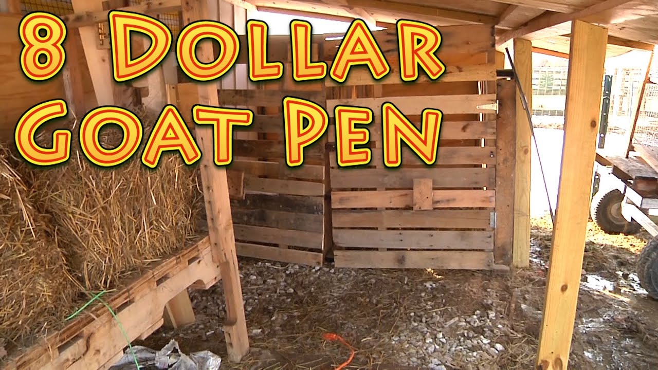 We Built Our Goat Pen for 8 Dollars RECYCLED Pallet wood