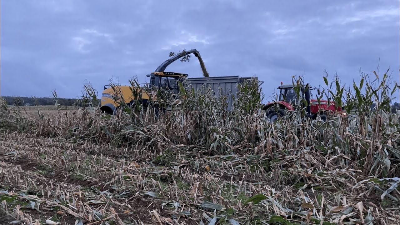🌽ENSILAGE EN BRETAGNE APRES LA TEMPETE ALEX🌽