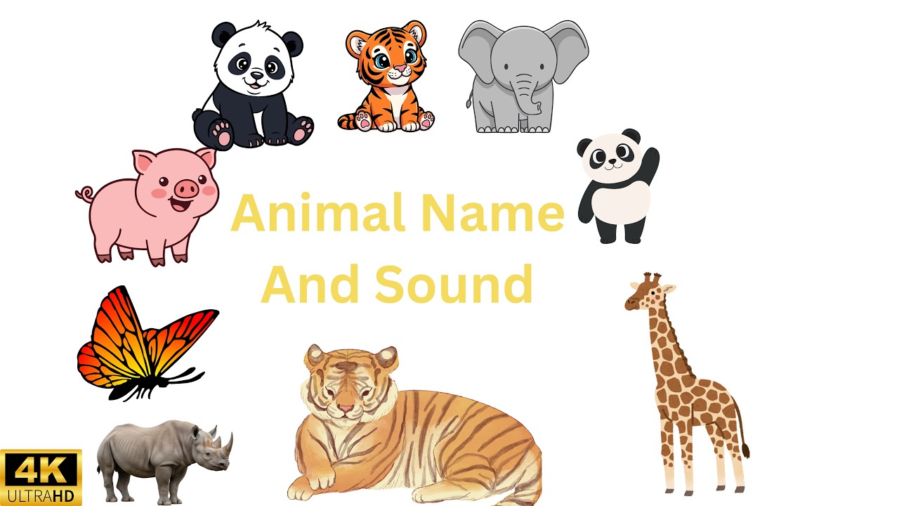 Can Your Child Guess Them All? – 50+ Animal Names and Sounds for Kids | 4K Animal Video