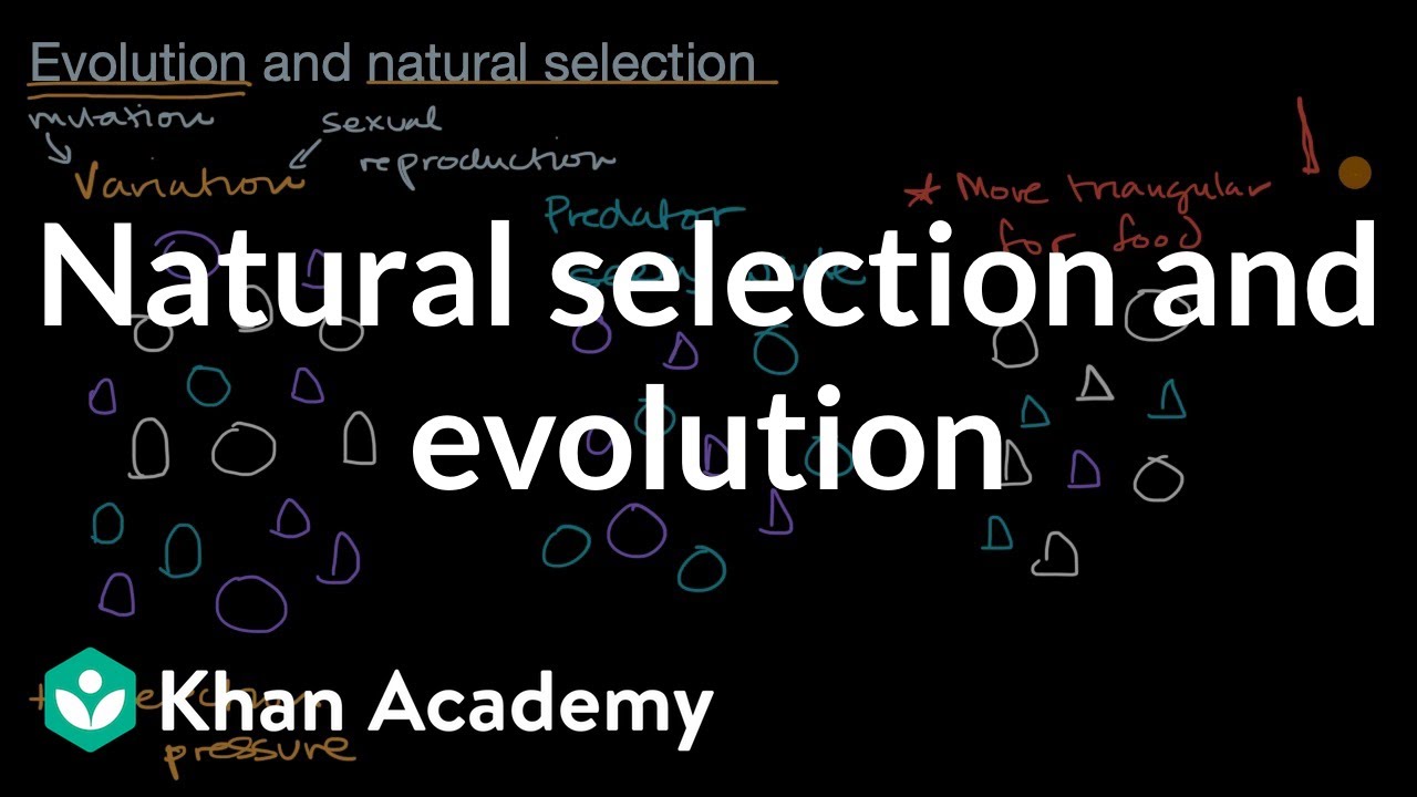 Natural selection and evolution | Mechanisms of evolution | High school biology | Khan Academy