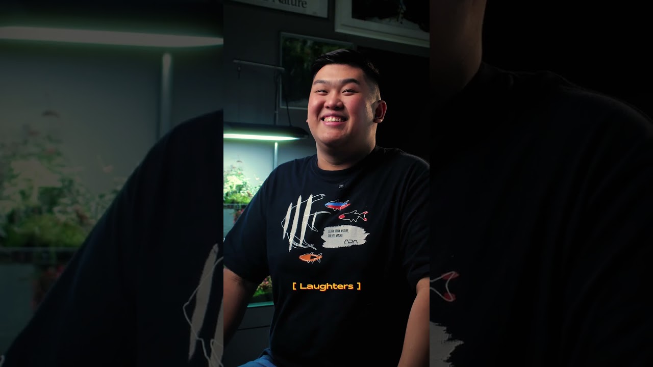 Aqua Design Amano Malaysia | Documentary by RedBin X CMP