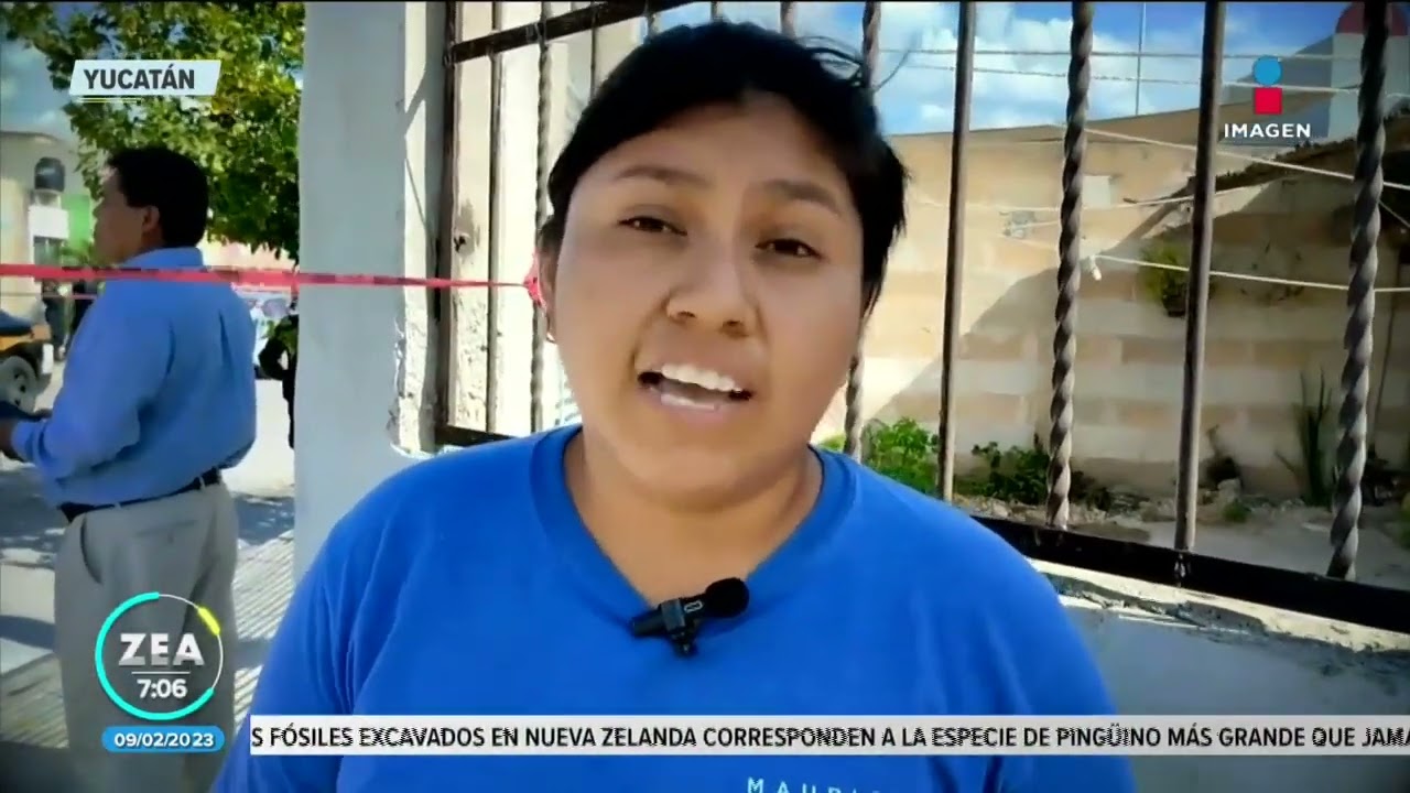 Perros pitbull atacan a hombre de 36 años en Mérida, Yucatán | Noticias con Francisco Zea