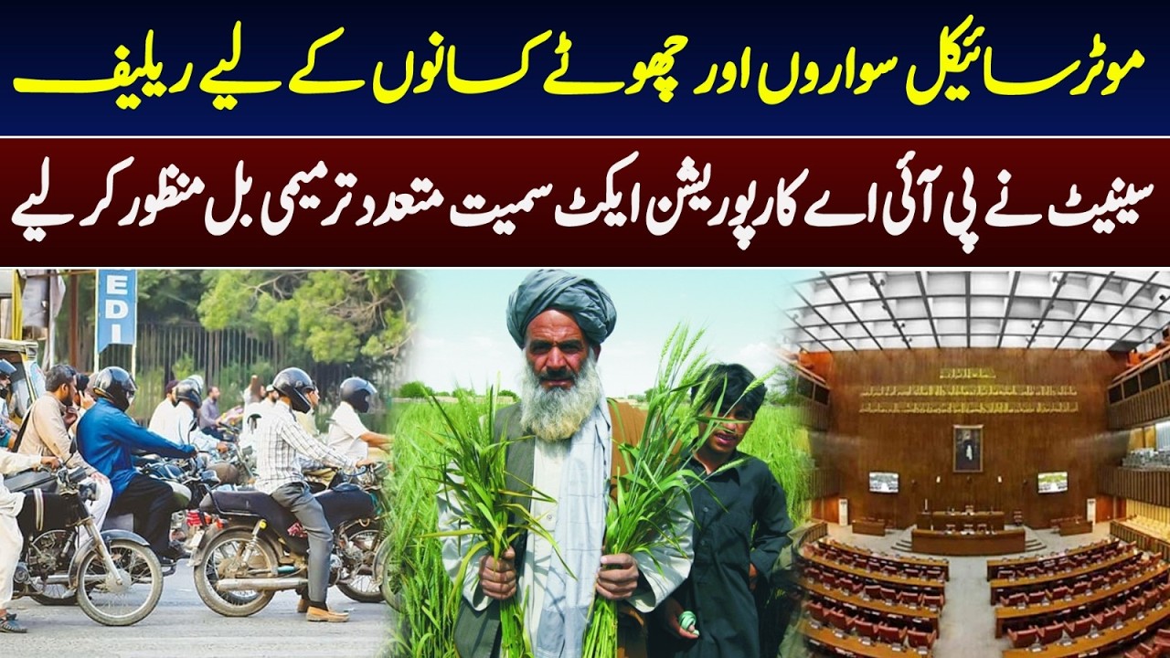Budget Relief Measures for Public Explained | Senate Approves New Amendment Bills | M News Digital