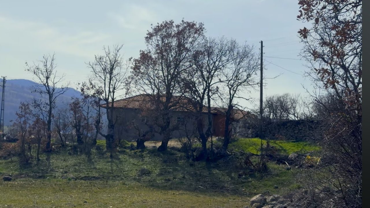 Türkü Dostları Canlı Yayın 727 #halkmüziği #özgünmüzik #sanatmüziği #arabesk #kürtçemüzik #şiir #saz