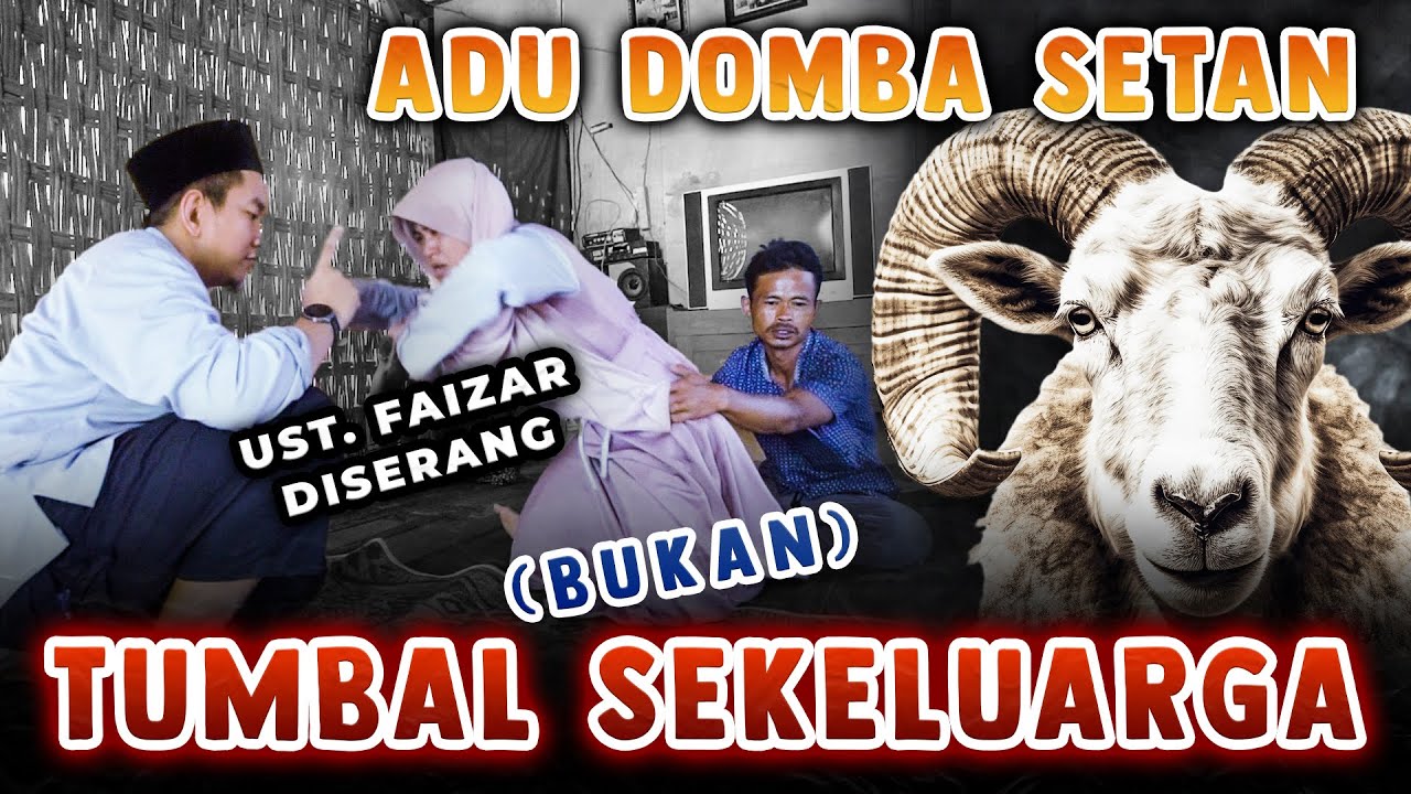( BUKAN ) TUMBAL SEKELUARGA | ADU DOMBA SETAN
