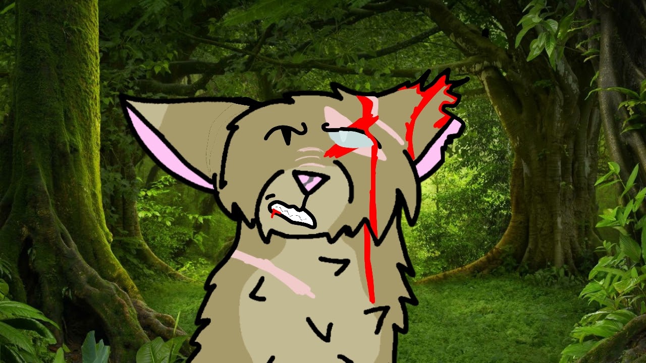 Rock Leap's life [FLASHING LIGHTS AND BLOOD]