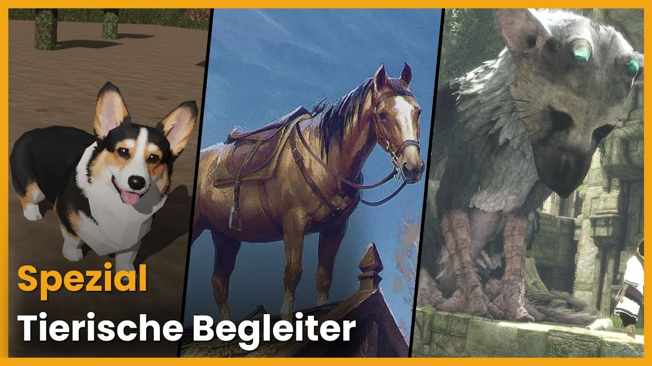 Tierische Begleiter I Pixel-Buddies Spezial