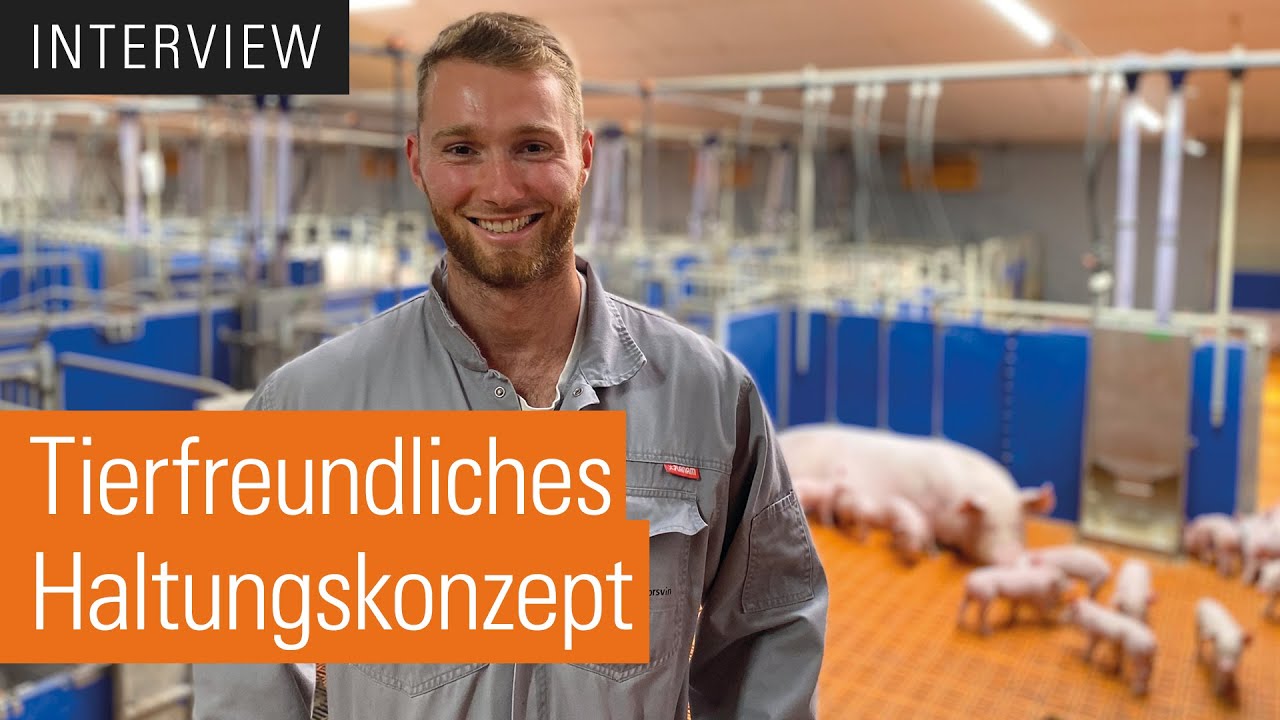 Gruppenhaltung ferkelführender Sauen | AGILO HL