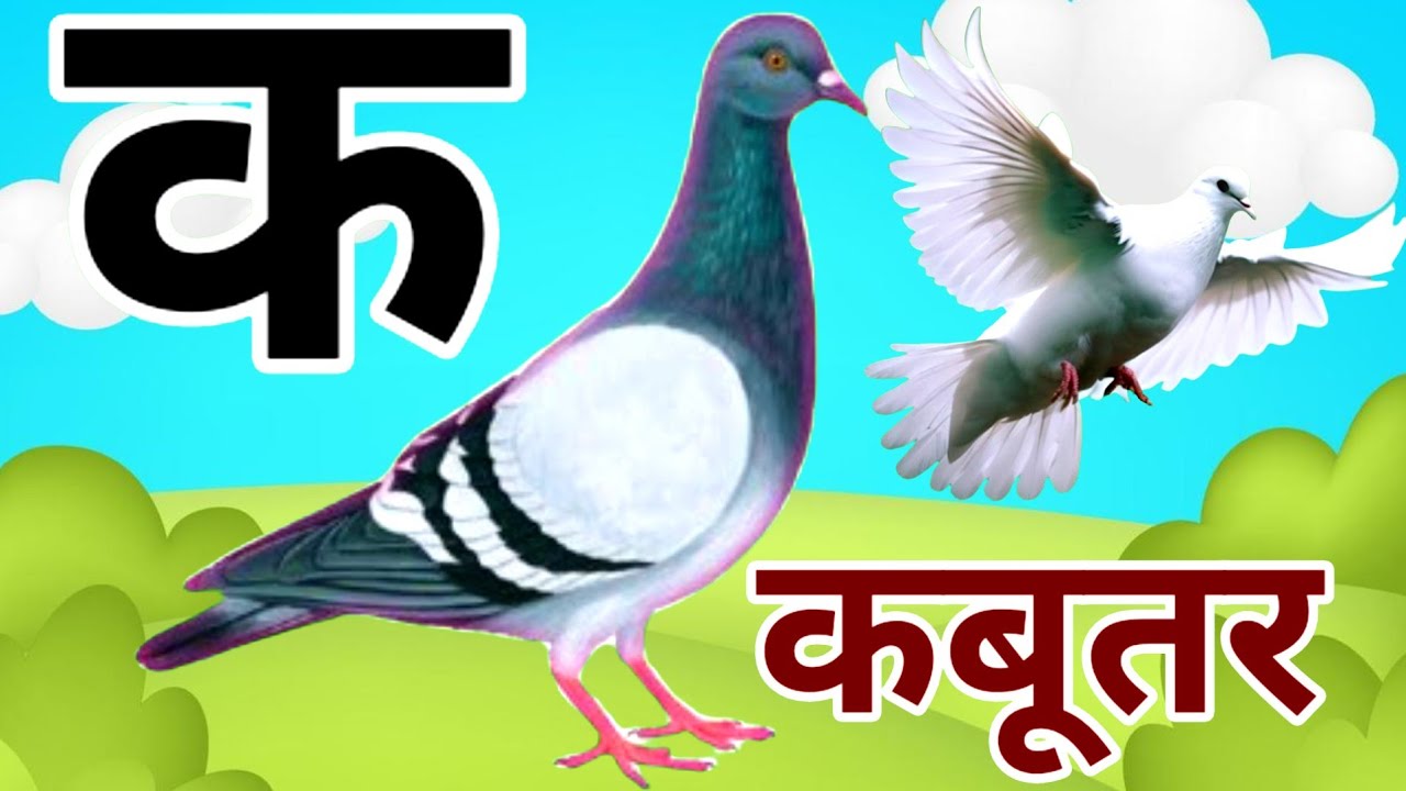 अ से अनार | आ से आम | a se anar | aa se aam | क से कबूतर | Ka se kabutar | स्वरब्यंजन 