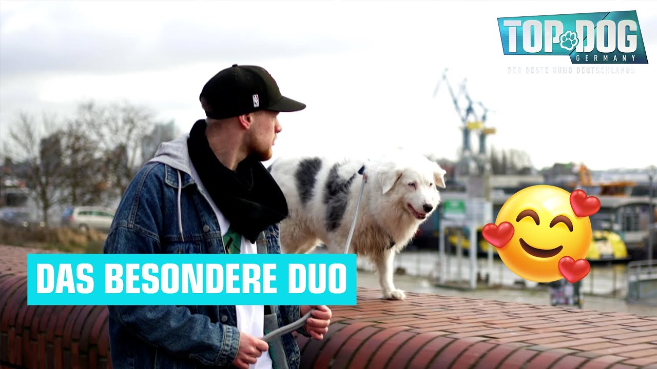 Wie schlagen sich Noah und Matilda im Parcours? 🥰🐶 | Top Dog Germany 2022