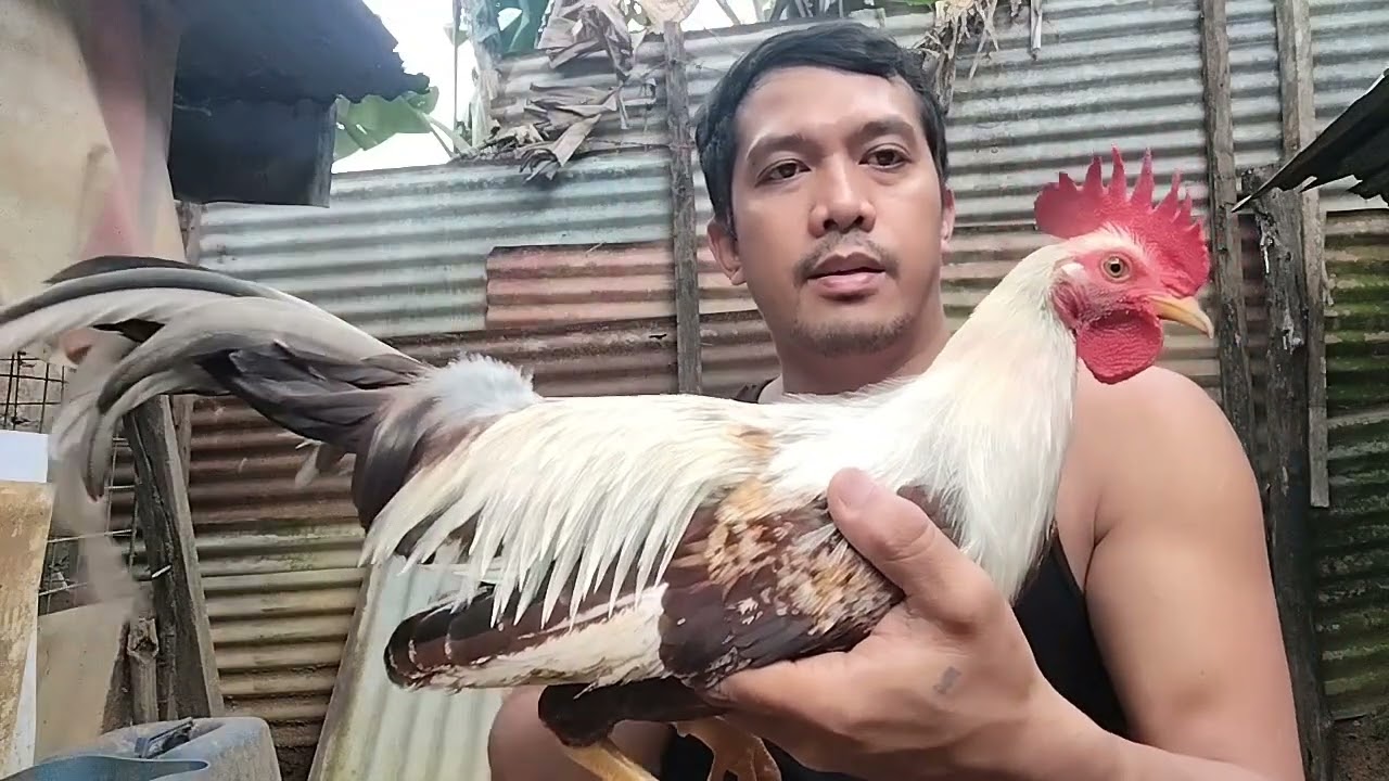 KANAWAYON HENNIE OVER REGULAR GREY