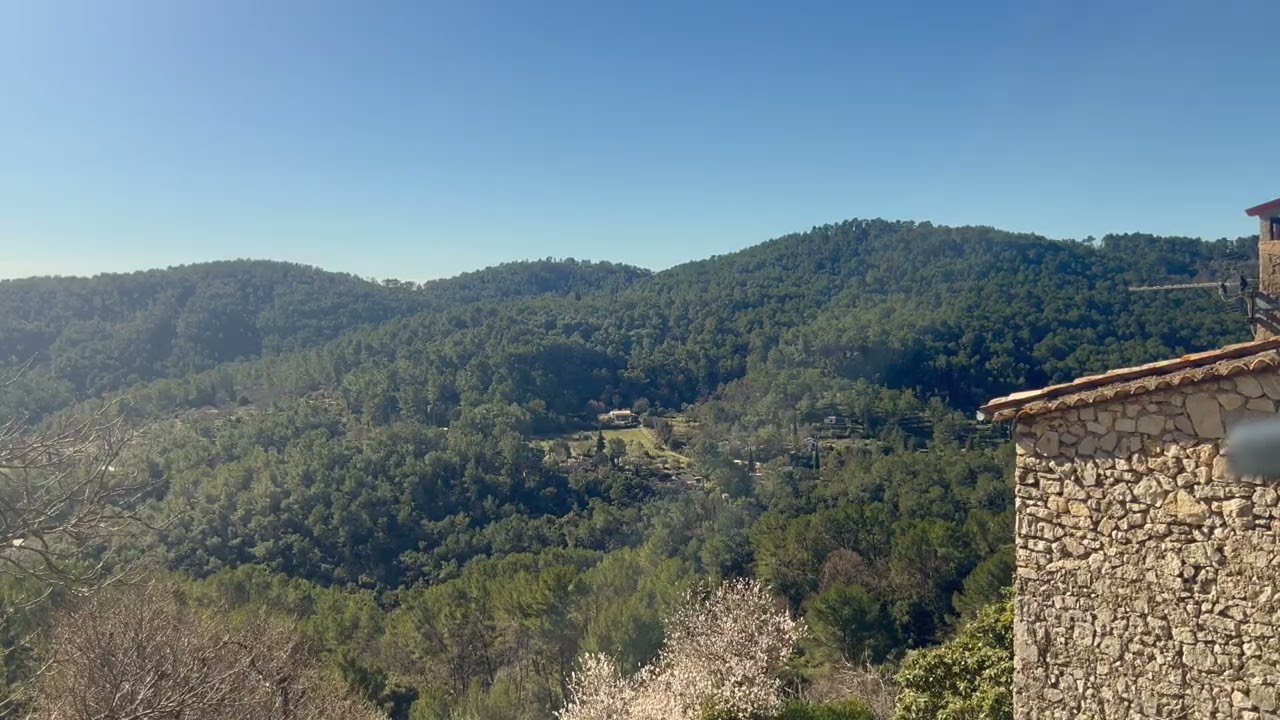 Musique Zen, nature, calme
