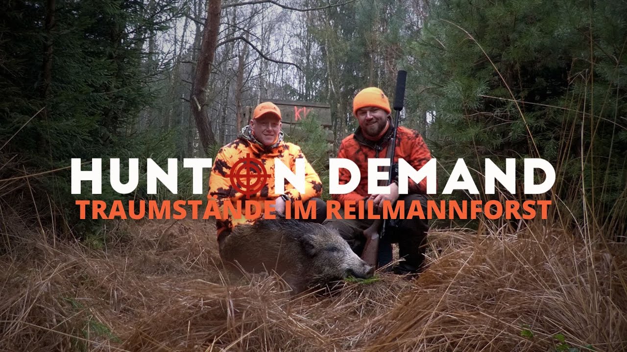 Traumst&auml;nde im Reilmannforst 🐗 von @wildhuntblackforest4494