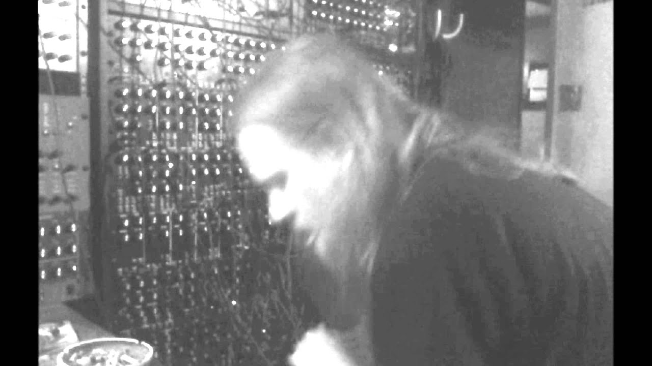 VENETIAN SNARES - CANADIAN REGGAE