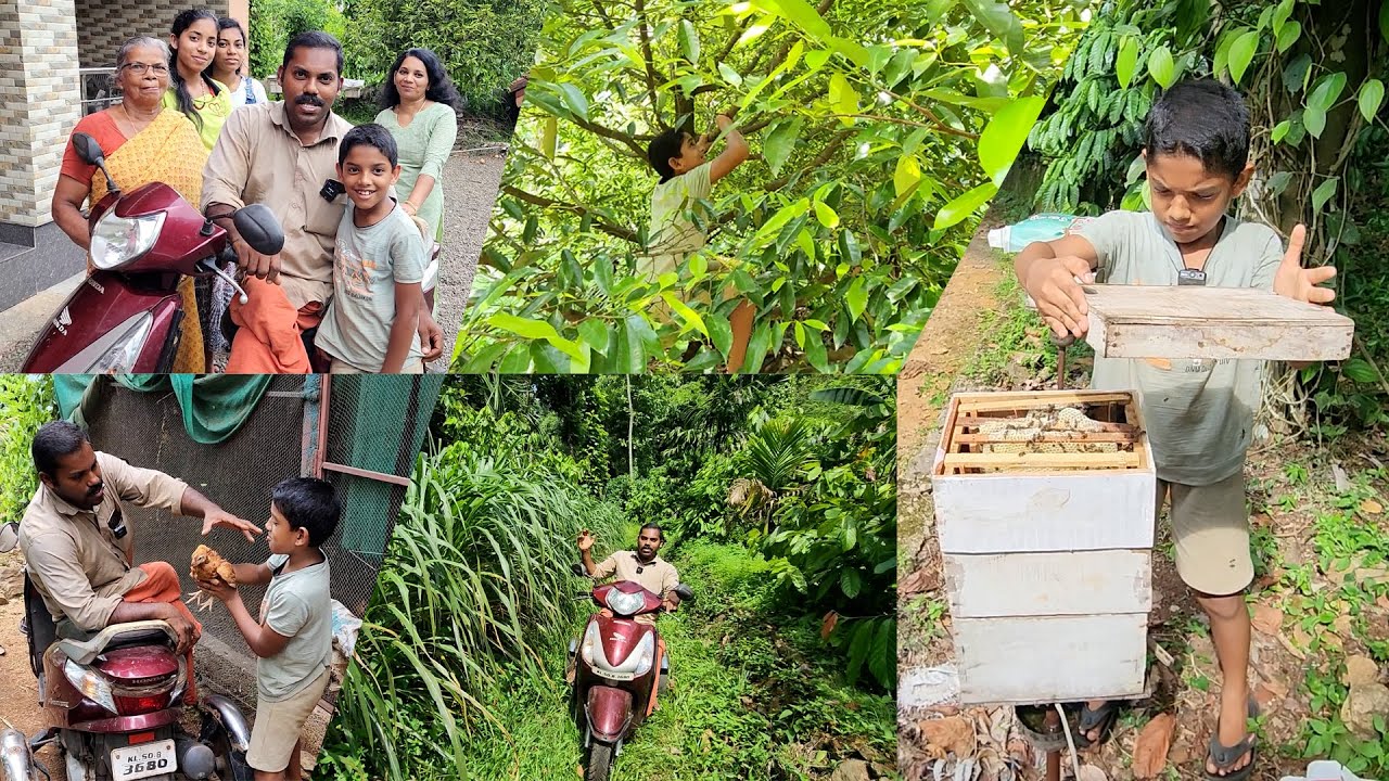 ഒന്നും പറയാനില്ല...ചേട്ടൻ സൂപ്പറാണ്❣. റബ്ബർ വെട്ടിക്കളഞ്ഞ്‌ വീടിന് ചുറ്റും നാലേക്കറിൽ ഫാമും കൃഷിയും.