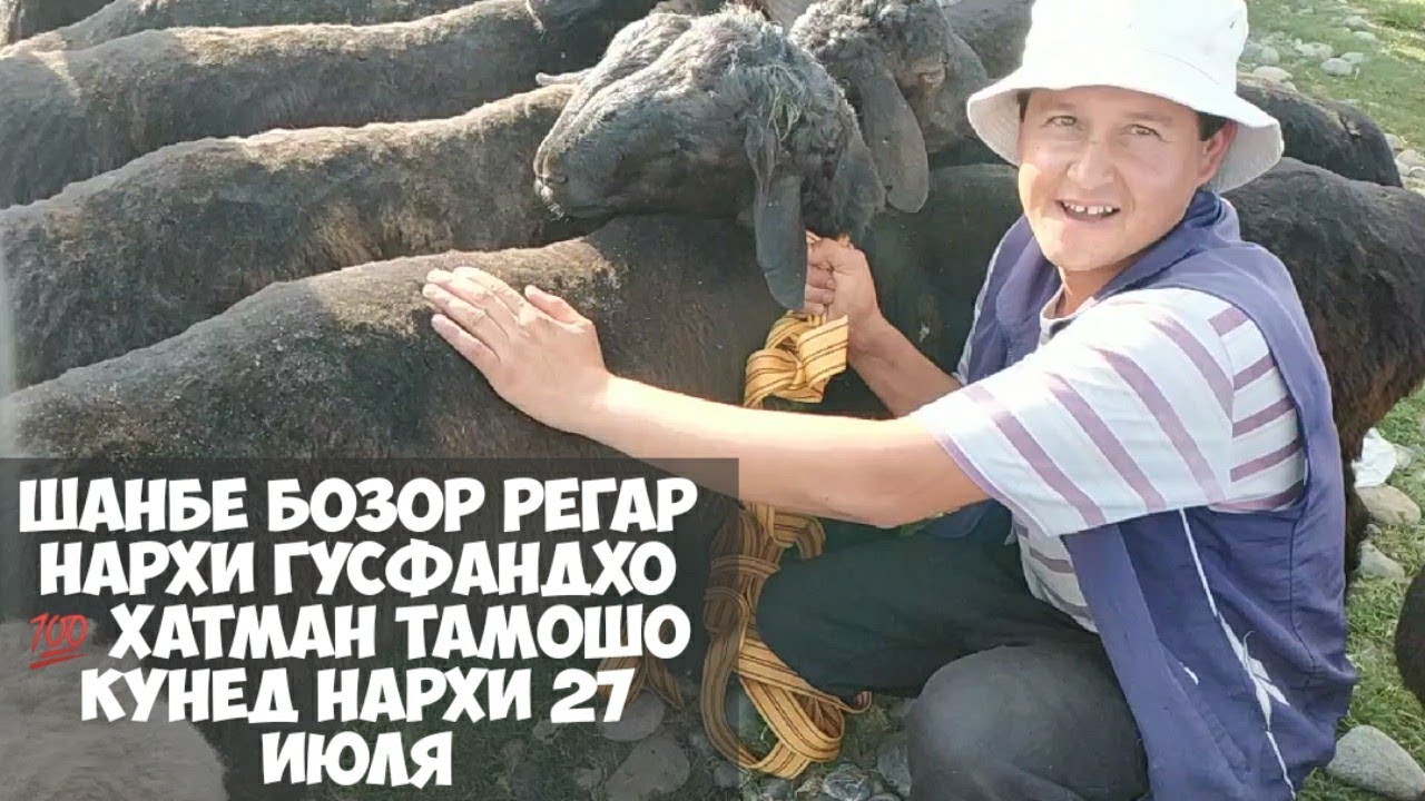 мол бозори регар шанбе бозор нархи гусфандхо 27 июля