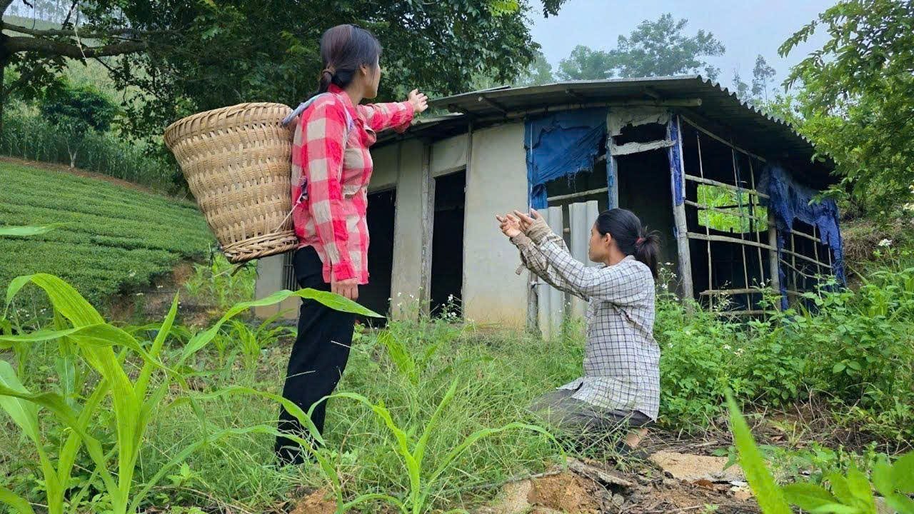 Full video: single mother saves woman’s life and helps her start a new life from scratch