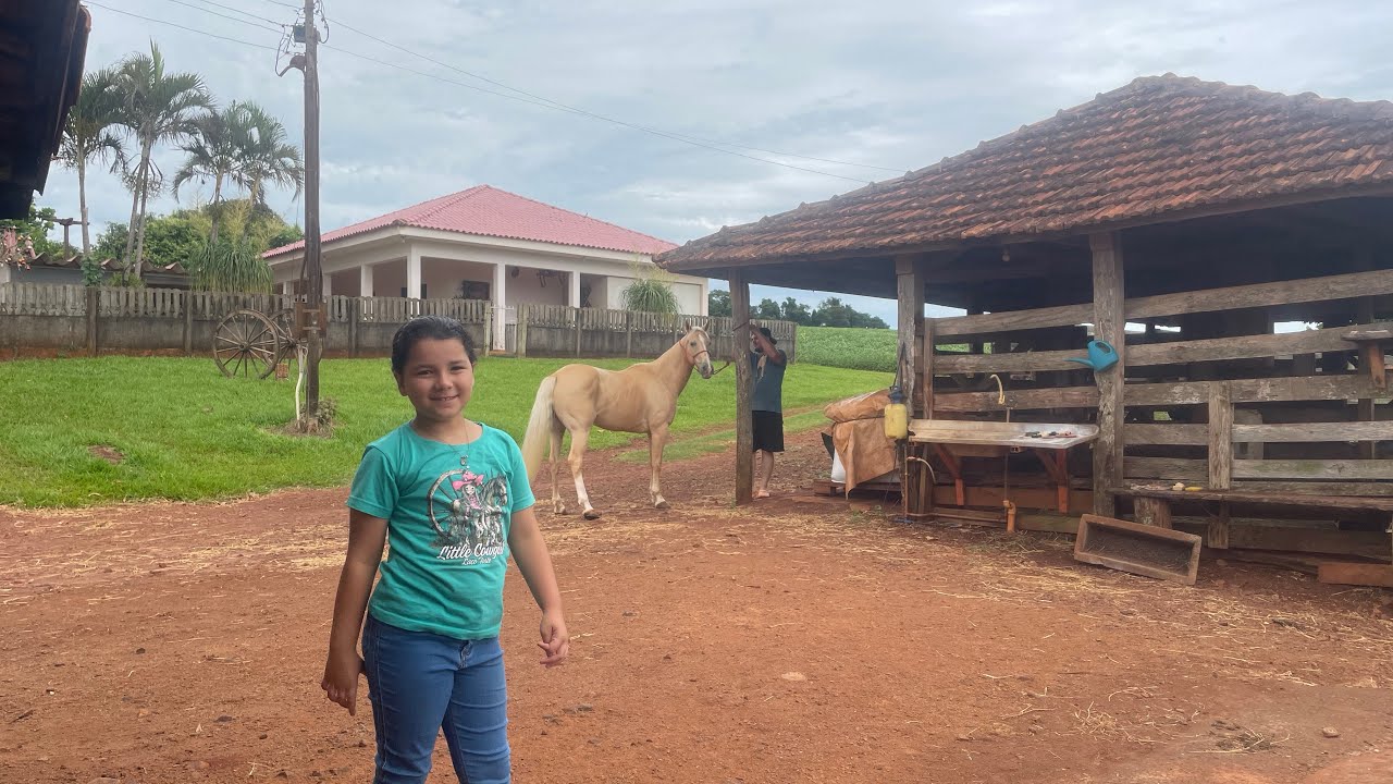 Primeiro vídeo do canal! Tour pelo sítio!🩷🐴☀️