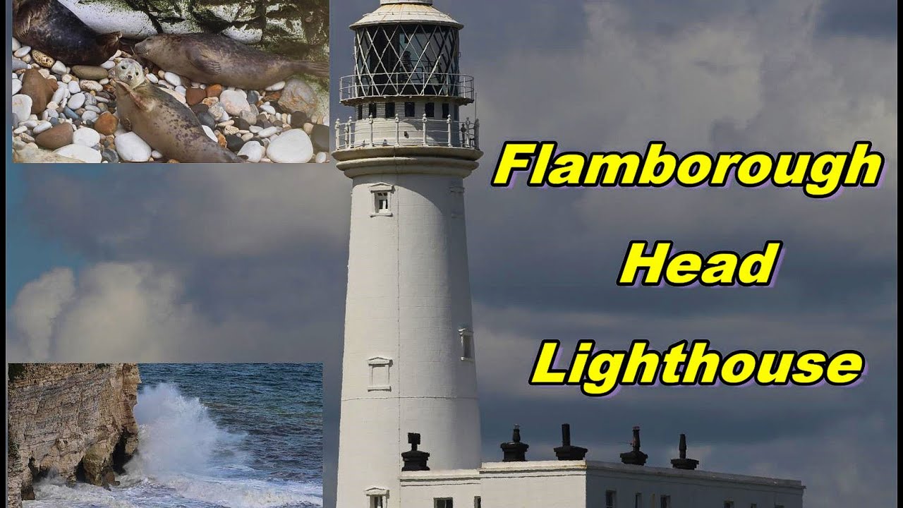 Flamborough Lighthouse, Yorkshire. High tide, cliffs, caves, wild life, seals relax, line up to swim