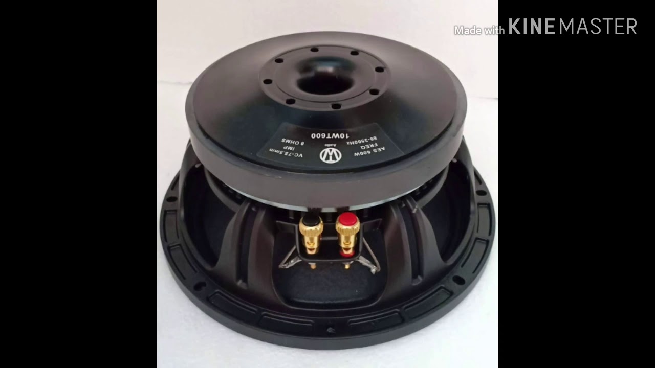 TW audio speaker 10WF335