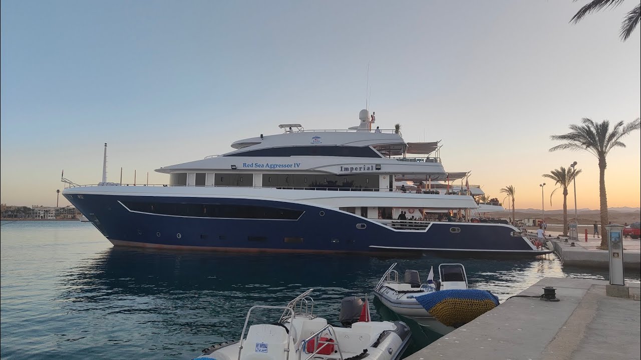 Red Sea Aggressor IV - March 2023