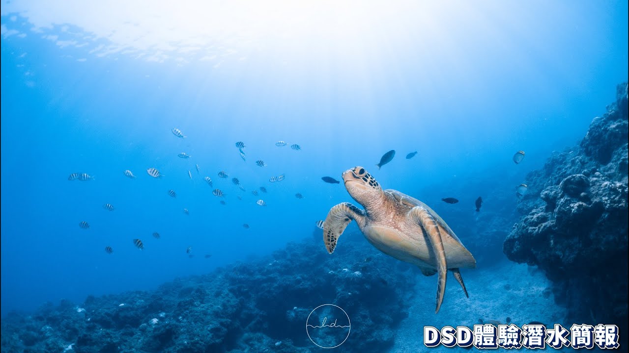 【琉潛Liuqiu Dive】 DSD 水肺體驗潛水簡報課程