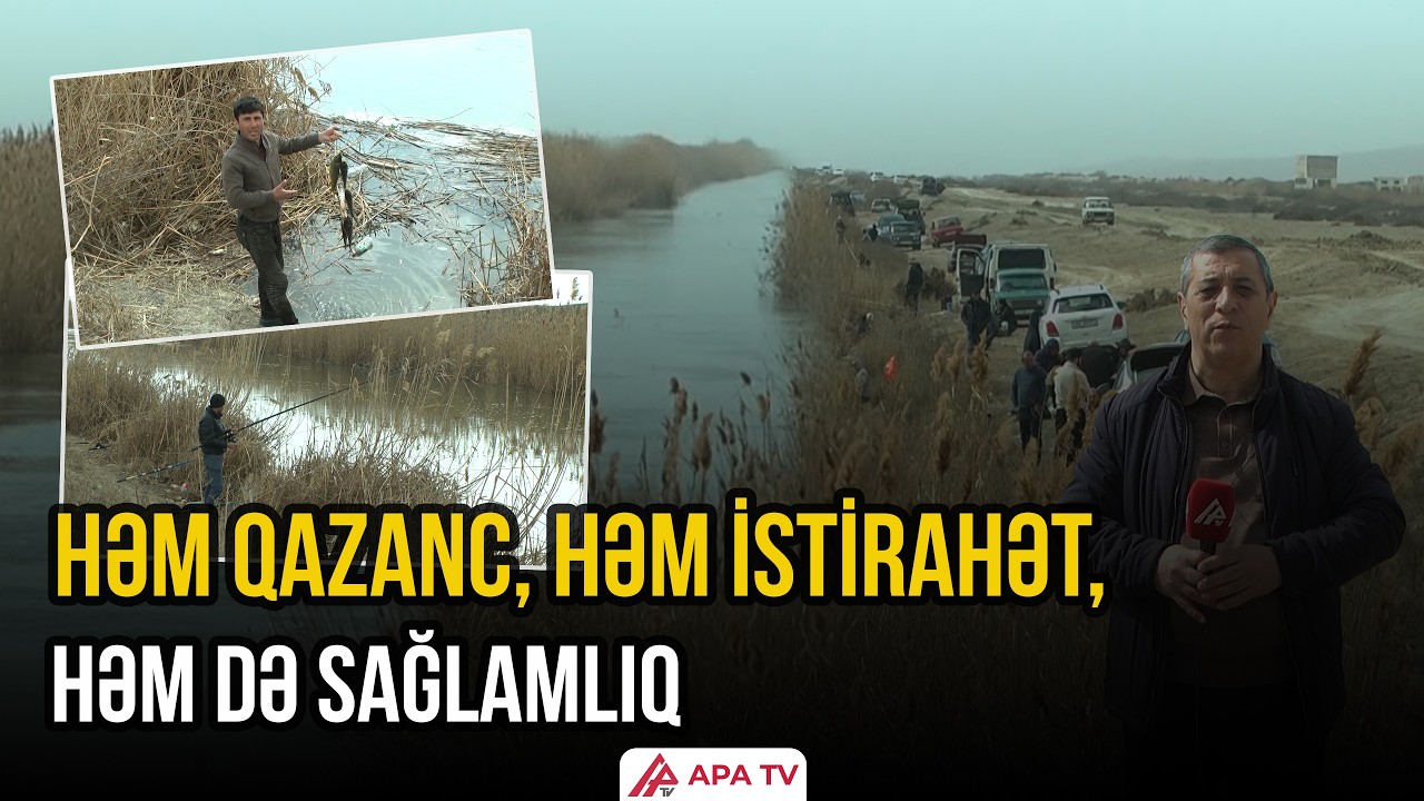 Baş Şirvan kanalının Salyandan keçən hissəsi balıqçıların ən sevimli məkanıdır | APA TV
