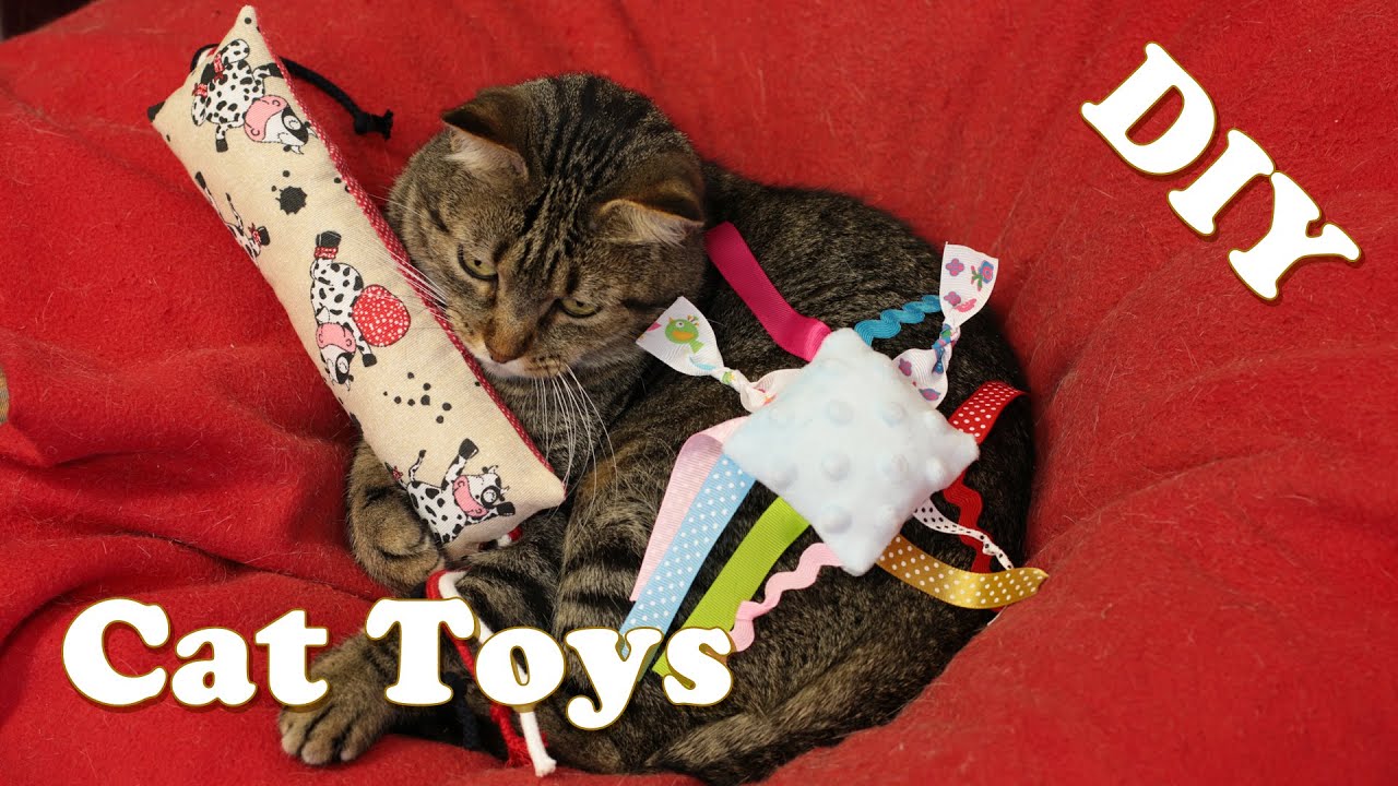 DIY How to Make Cat Toys | Kicker Pillow and Taggy / Tag Pillow | Bravo Dada