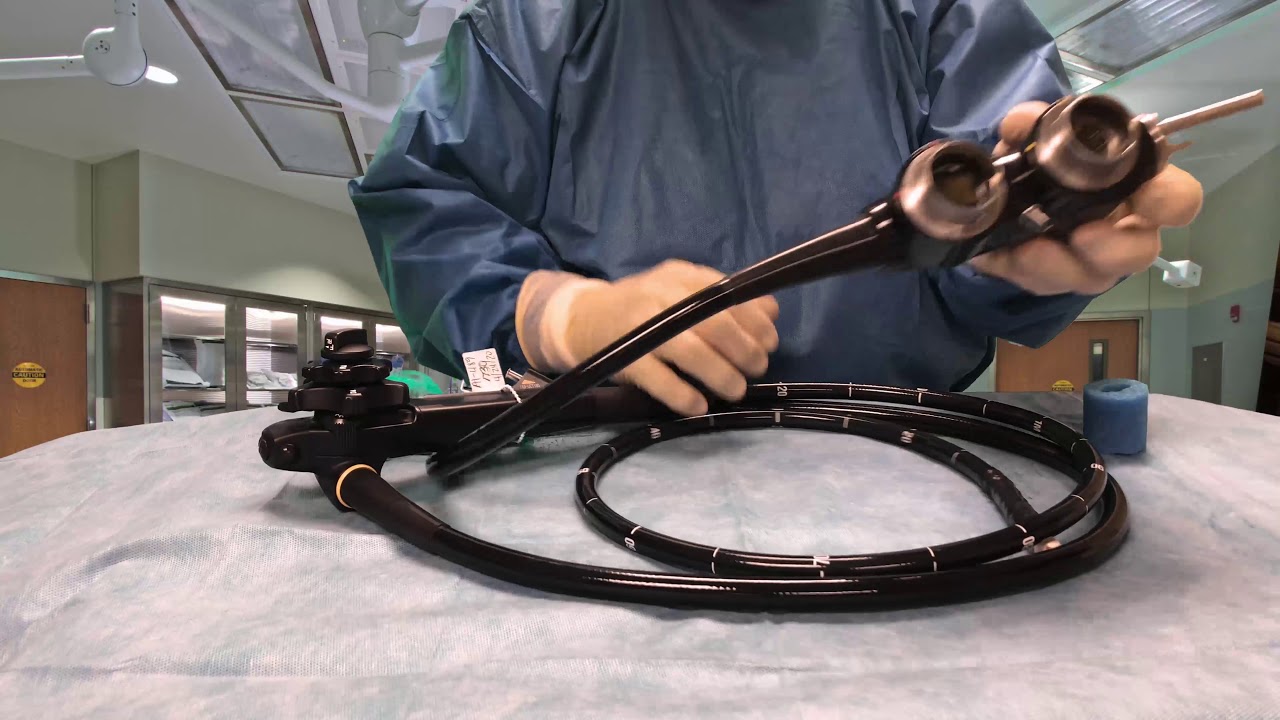 Linear Video Ultrasound Endoscope Primer